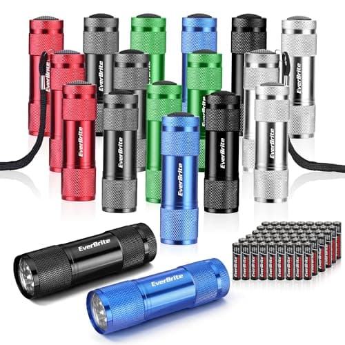 EverBrite 18-Pack LED Mini Pocket Torch with Batteries