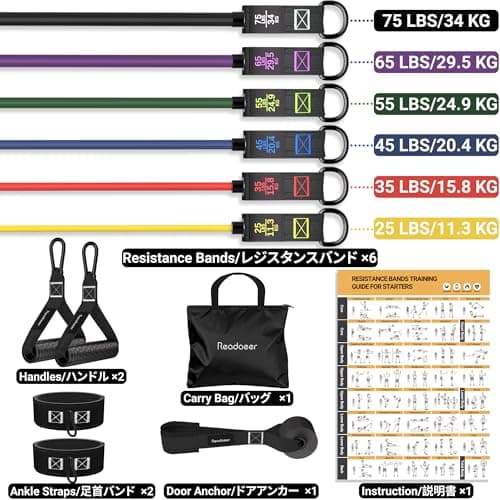 Resistance Bands Set with Handles for Men Women, Exercise Bands, 300 LBS — view 2