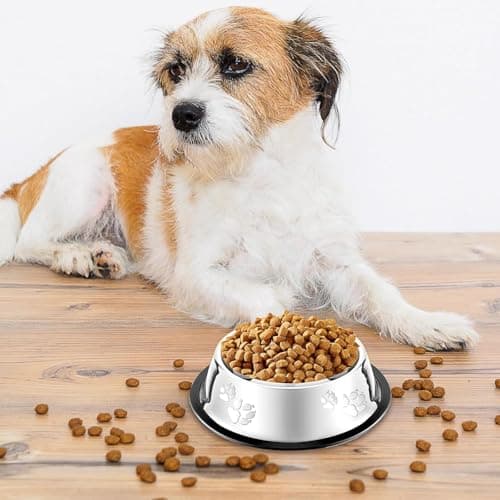 8 Pack Stainless Steel Cat Bowls, Non-Slip Dog Water Dish with Rubber Base Stackable Pet Feeding Bowl Durable Multifunctional Plate for Kitten Puppy Small Dog — view 3