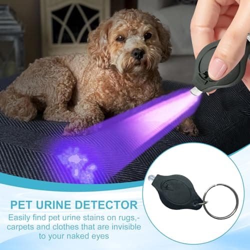 UV LED Keychain Flashlight, 395nm Blacklight Money Detector, Mini UV Torch for Counterfeit Note Verification, Portable Keyring Flashlight for Banknote, Hotel Cleanliness, Pet Stains (Black, 5 Pcs) — view 4