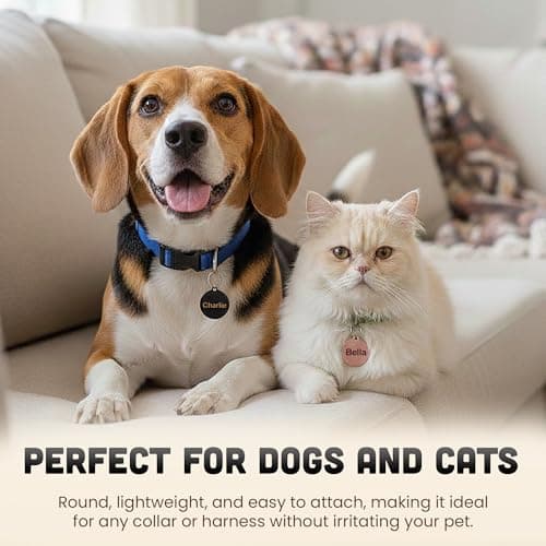 Personalised Laser Engraved Stainless Steel Dog and Cat ID Tags, Available in 5 Colours and 2 Sizes (Rose Gold, Small (25mm)) — view 5