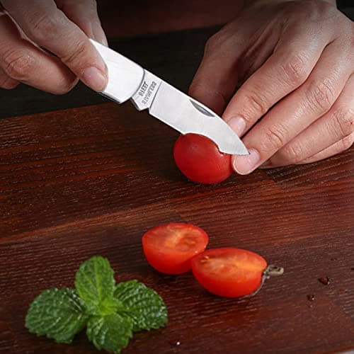 LLHQAMT Fruit Knife, 3 Pieces of All Steel Foldable Small Kitchen Knife, All Steel Handle, Small and Easy to Carry, Exquisite and Beautiful, Suitable for Most Types of Vegetables and Fruits(4.9 inch) — view 2