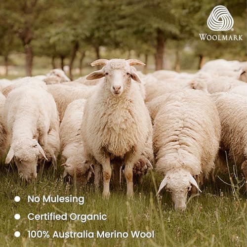 TWCHAS 100% Women Merino Wool Short Sleeve T-Shirt, Ultra Soft & Breathable Merino Wool Tee for Hiking Running Travel, Merino Wool Base Layer with Odor Resistant Natural Fiber — view 2