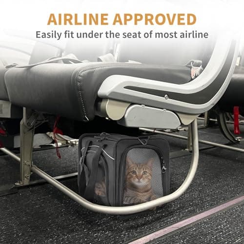 Petsfit Kitten Carrier Airline Approved,Travel Cat Carrier Bag for Small Cats and Puppy Under 4KG, Top Loading carrier small size on Airplane, Transport Carrier-42cm×28cm×22cm,Black — view 5