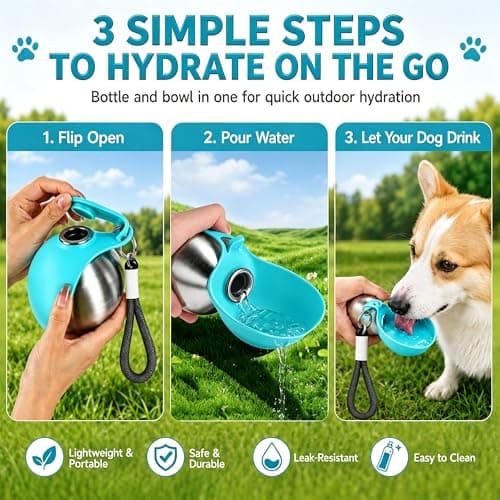 Portable Dog Water Bottle for Walking, 2-in-1 Stainless Steel Dog Bottle — view 3