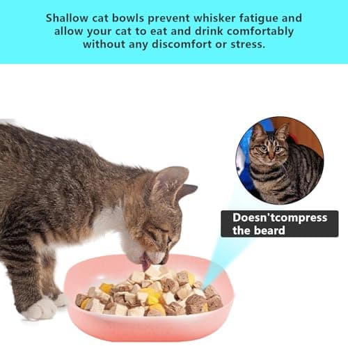 10pcs Cat Bowls, Whisker Fatigue Cat Bowls with a Storage Box Shallow Wet Food Flat Dish Plate Tray for Food and Water Pet Feeding Bowl for Kittens and Short Legged Cats — view 3