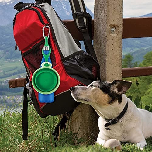 Crufts Collapsible Travel Pet Bowl & Water Bottle Holder - 250ml Liquid Capacity - Ideal for Small to Medium Dogs — view 6