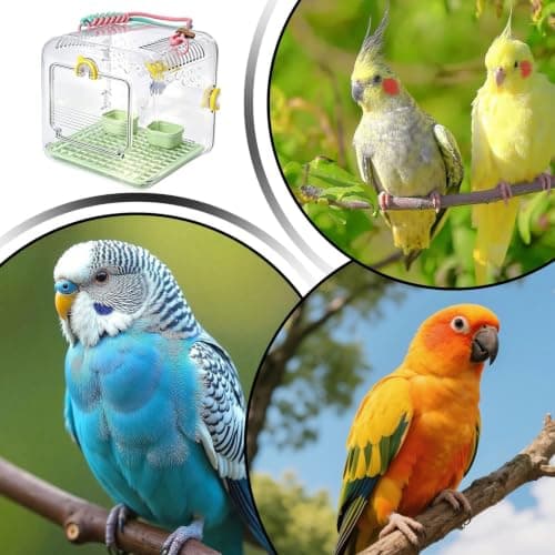 Small Bird Carrier Travel Cage Portable Acrylic Bird Carrier with Handle — view 6