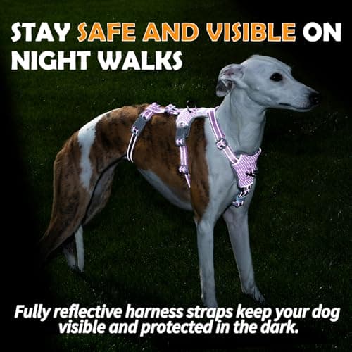 Huntboo Escape Proof Dog Harness Medium, No Pull dog harness — view 6