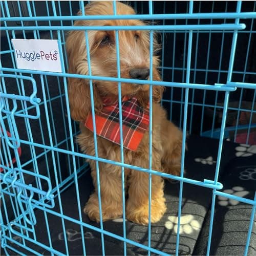 HugglePets Blue Metal Dog Puppy Cage Foldable Small 61cm Dual Door with Locks, Car Home and Travel Crate — view 2