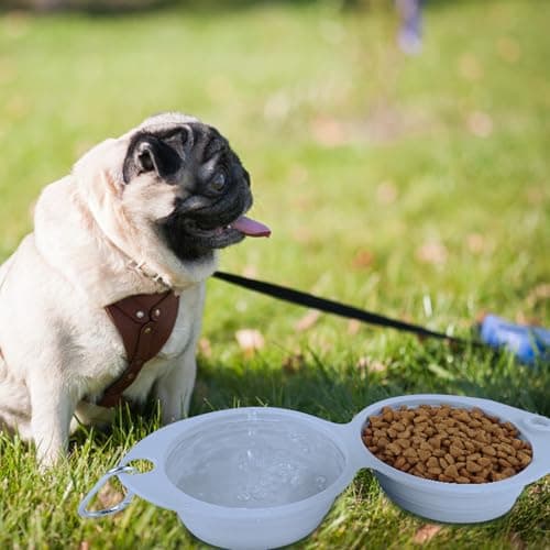 Dog Water Bowl, Portable Food Bowl, Puppies Kittens, Pet Supplies, Foldable Feeder Dish, Lightweight Compact Travel Pets Bowls for Small Dogs and Cats, 11.81 x 5.28 x 1.97 Inches — view 5