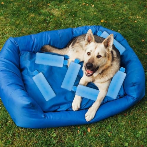 Reusable Long Lasting Cold Packs for Cooler Ice Storage Travel Camping — view 3