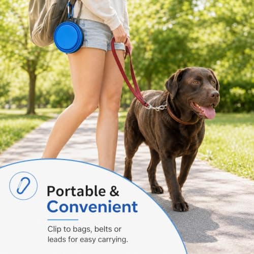 Collapsible Pet Feeding Bowl Portable Silicone Space Save Travel Dog Cat Bowl with Carabiner Carry Hook Two Size Avaliable Small 350ml (12fl oz) / Large 1000ml (34fl oz) (Orange, Small (350ml)) — view 6