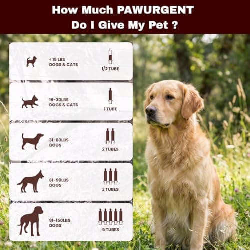 PawUrgent Activated Charcoal Gel for Dogs Poisoning, 30cc Dog First Aid Activated Charcoal, Animal Use Only, Premium Pet Support For Pet Owners — view 2