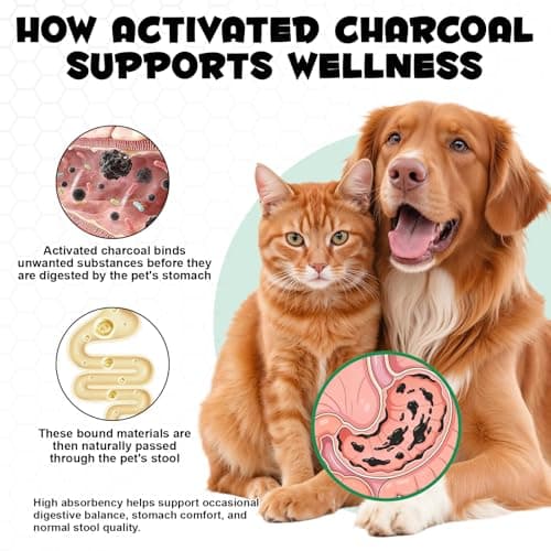 Activated Charcoal for Dogs & Cats | Dog First Aid Kit Essential | Emergency Rescue Remedy| Ready-to-Use Paste (2 Tube (2 FL.OZ)) — view 5