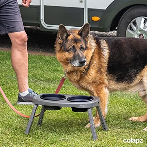 Colapz Collapsible Dog Bowls with Adjustable Raised Stand — view 3