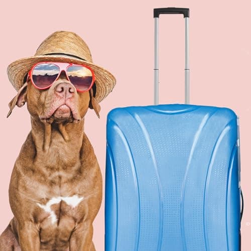RORPOIR Suitcase Replacement Parts Telescopic Pull Rod for Travel Luggage — view 6