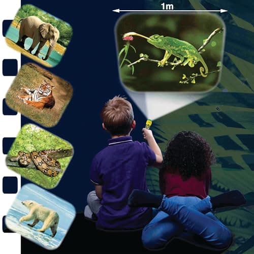 Brainstorm TOYS Animal Torch and Projector – 24 Wildlife Images, Projects Clear Pictures Up to 1 Metre Wide, Interactive Educational Kids Flashlight Toy — view 2