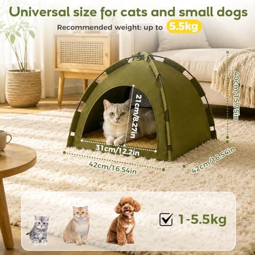 Auveach Cat Tent Cave, Pop up Foldable Pet Tent with Removable Double-sided Bed Mat for Cats & Puppies, Breathable Mesh Hole, Indoor Outdoor Travel, Green, 42 * 42 * 40cm — view 2