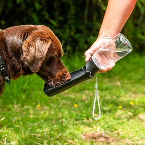 Mountain Paws Folding Dog Water Bottle, 550ml, BPA-Free For Dogs — view 4
