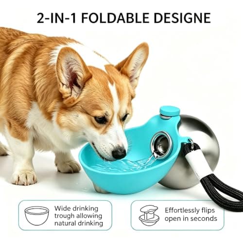 Portable Dog Water Bottle, Stainless Steel, Foldable Silicone Bowl, 285 ml — view 2
