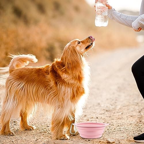 Pack of 2 Foldable Travel Bowls, Leak-Proof Dog Bowls, Foldable Silicone Water Bowl for Dogs on the Go and Pets for Water and Food (Pink, Blue) — view 6