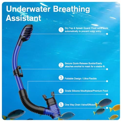 BuyCard Snorkel Mask,180 Degree Panoramic View Dry Top Snorkeling Gear，Safe Anti-Leak Anti-Fog Diving Mask, Snorkel Set and Swimming Goggles (Transparent Blue) — view 4