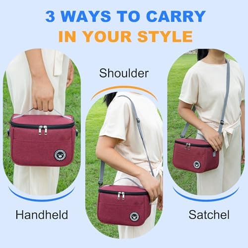 BEHONA 9L Insulated Lunch Bag, Cool Bag, Foldable Cooler Bag, Picnic Bag — view 4