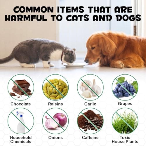 Activated Charcoal for Dogs & Cats | Dog First Aid Kit Essential | Emergency Rescue Remedy| Ready-to-Use Paste (1 Tube (1 FL.OZ)) — view 4