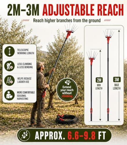 ZHIGUANYUN Telescopic Olive Harvesting Rake 600W — view 3