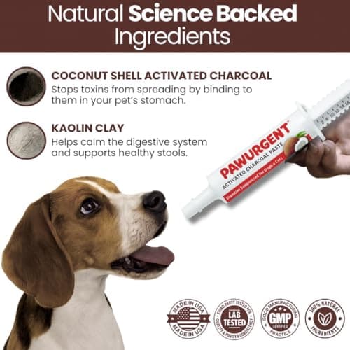 PawUrgent Activated Charcoal Gel for Dogs Poisoning, 30cc Dog First Aid Activated Charcoal, Animal Use Only, Premium Pet Support For Pet Owners — view 3