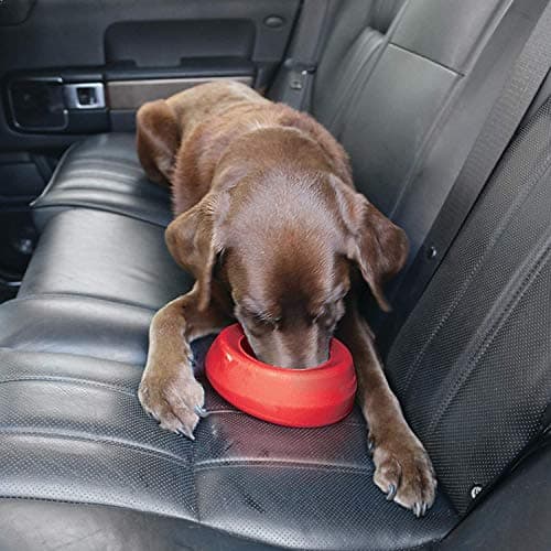 Kurgo Splash Free Wander Dog Water Bowl, 710ml, Chili Red — view 6