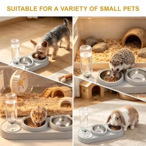 Tilted 3-in-1 Cat Bowl Set with Automatic Water Dispenser — view 4
