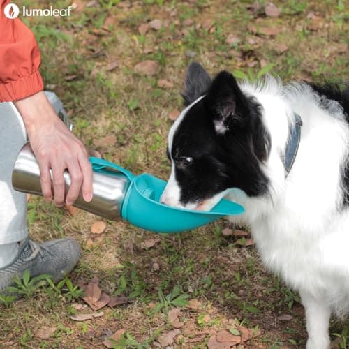 LumoLeaf Portable Dog Water Bottles 800ml, Stainless Steel Pet Travel Water Bottle Dispenser for Walking, Hiking and Outdoor, Portable Water Bowl for Large Dogs (Blue) — view 2