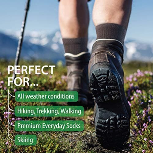 Merino Wool Blend Walking Hiking Socks Unisex (Pair) (Brown) (3-6.5) [S] — view 6