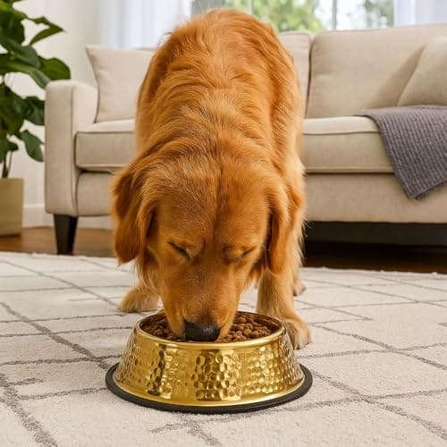 Stainless Steel Dog Bowl,Dog Feeding Bowls, Non-Slip Stainless Steel Dish(Gold) — view 3