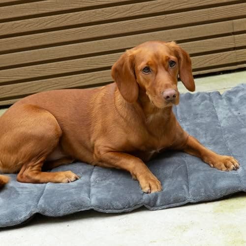 Scruffs Expedition Roll Up Travel Pet Bed — view 4