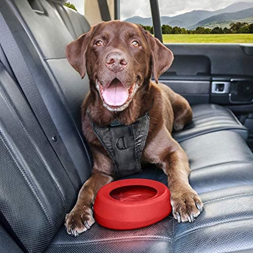 Kurgo Splash Free Wander Dog Water Bowl, 710ml, Chili Red — view 4