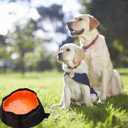 Changyeah Foldable Dog Feeder Waxed Fabric Dog Bowl Collapsible Bowl for Hiking or Travel, Portable Travel Bowl for Food and Water with Carabiner, Black — view 6