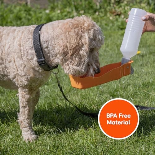 Pet Brands Rac Travel Water Bottle, Orange — view 5