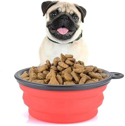 OOYES 2 Pack Dog Collapsible Bowl,Pet Silicone Food Bowl Small,Collapsible Dog Bowls,Travel Dog Bowl,34oz Portable Water Bowl for Dogs,Foldable Dog Bowl,Cat Travel Food Bowls Easy to Carry (Red) — view 5