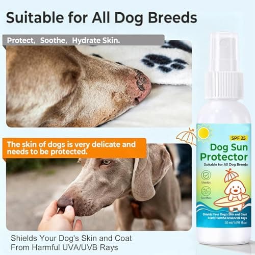 Compact UV Spray, Secure Dog Sunscreen, Effective Puppy Protector, Outdoor Park Hiking Beach Safety, Functional Road Trip Backyard Travel Aid, Animal Gear for Vacation, Camping, Adventure, 50g — view 5