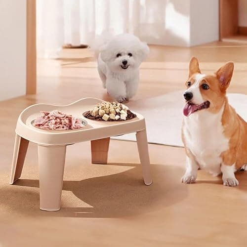 Pioneer Goods Premium Elevated Dog Feeding Stand - Stainless Steel Double Raised Bowls, Foldable Pet Feeder for Medium & Large Dogs - Silver/Gold (Small)