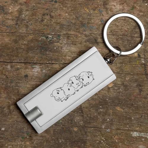Azeeda 'Baby Guinea Pigs' LED Keyring Torch (KT00009478) — view 6