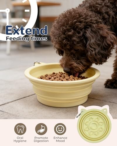 ETIALURE Collapsible Dog Bowl, Portable Dog Travel Bowl for Hiking (Yellow) — view 3