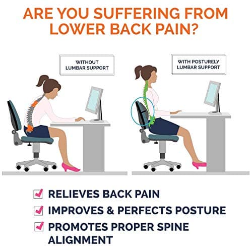 Taylor & Brown Posture Therapy Lumbar Support Cushion - Memory Foam, Ergonomic Back Support Pillow for Home, Office, Car, Travel - Relieve & Prevent Lower Back, Sciatica, Disc Pain - Grey — view 6