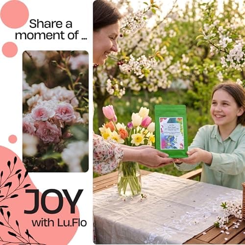 Lu.Flo Travel Soap Set 5x50 g, Handmade Glycerin Soap Bars — view 6