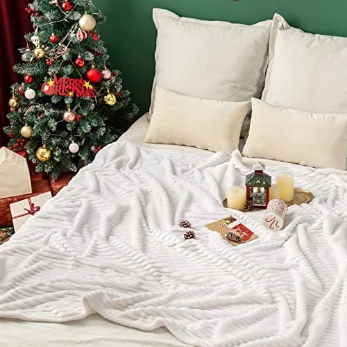 MIULEE Flannel Fleece Throw Blankets Soft Warm Comfortable Throws for Sofa Corduroy Fluffy Blanket Bed Throw for Bedroom Couch Travel Kids Bedroom Accessories 50x60Inch Beige — view 2