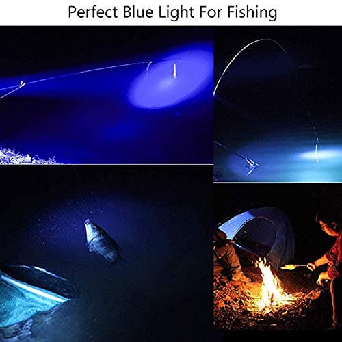 WESLITE Blue Light Torch, Blue Beam LED Flashlight, 3 Modes Zoomable, Clip, 150m Range, Fishing, Hunting — view 6