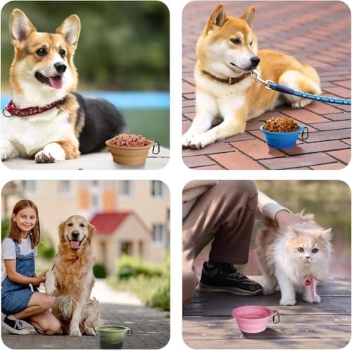 PetBonus 2-Pack Collapsible Dog Bowls, Portable Travel Dog Water Food Bowls — view 6